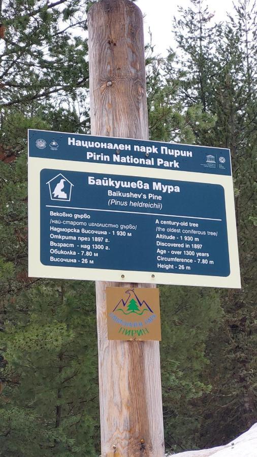 500М. От Лифта Сладък Дом В Белведере Спа Комплекс Bansko Exterior foto